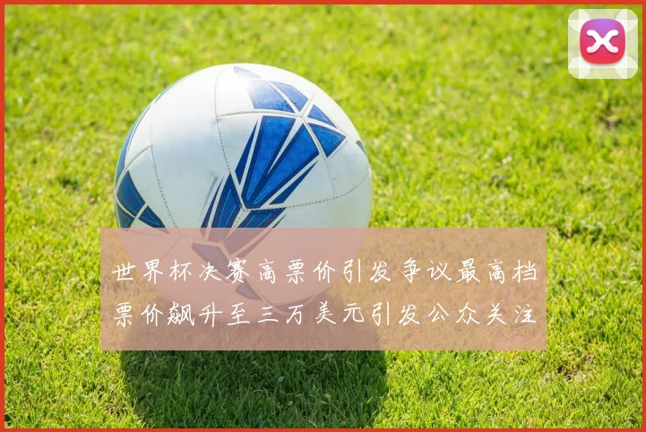 世界杯决赛高票价引发争议最高档票价飙升至三万美元引发公众关注